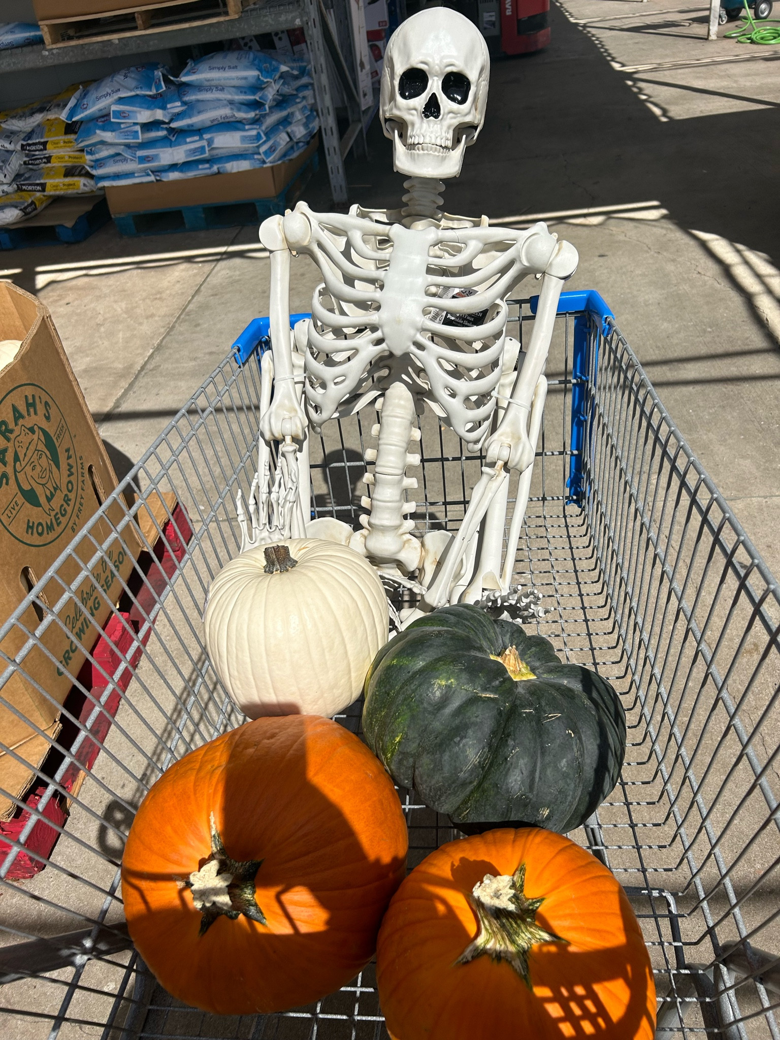 #LTKSeasonal #LTKHalloween #LTKStyleTip