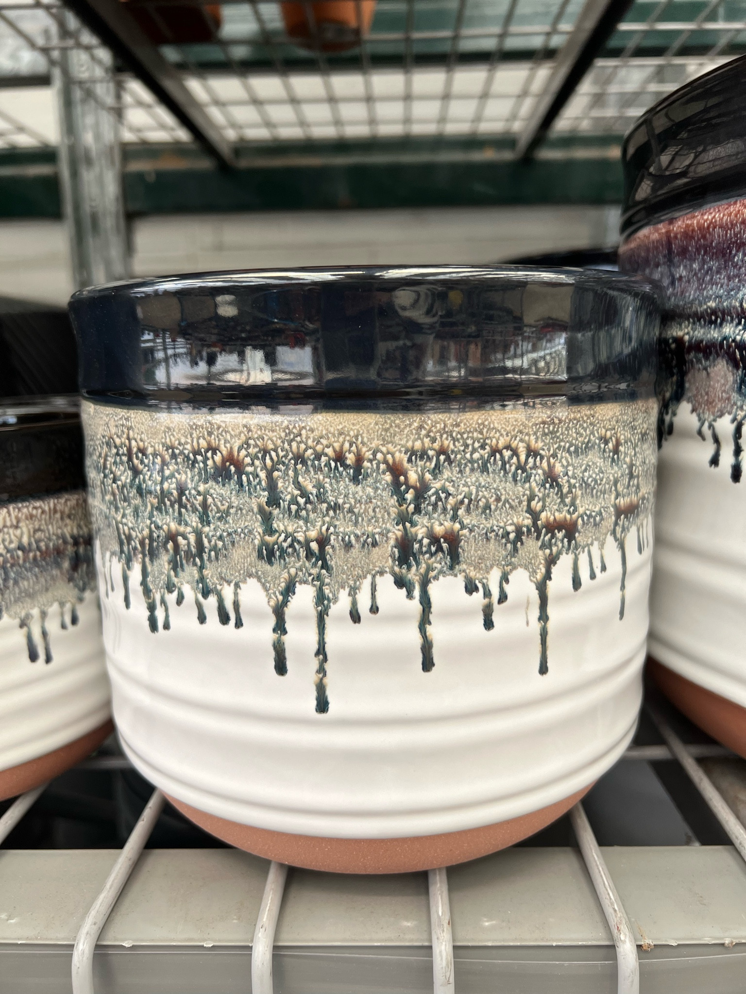 Painted Ceramic pot perfect for your houseplant babies! 

#LTKStyleTip #LTKSaleAlert #LTKSeasonal