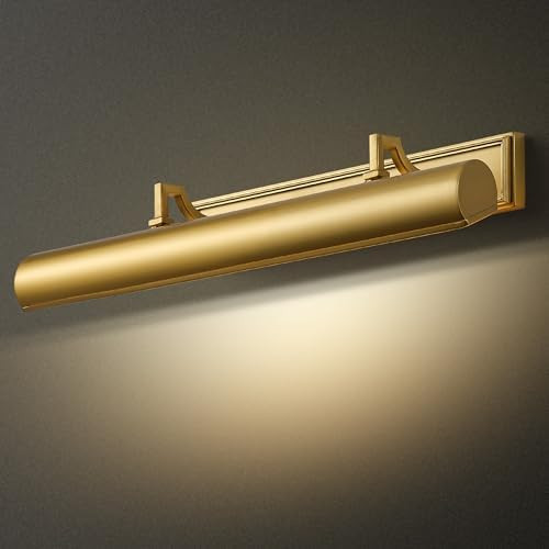 24" Brass Picture Light, 4-Light Gold Hardwired Picture Lights, 270° Rotatable Wall Sconce Lamp ... | Amazon (US)