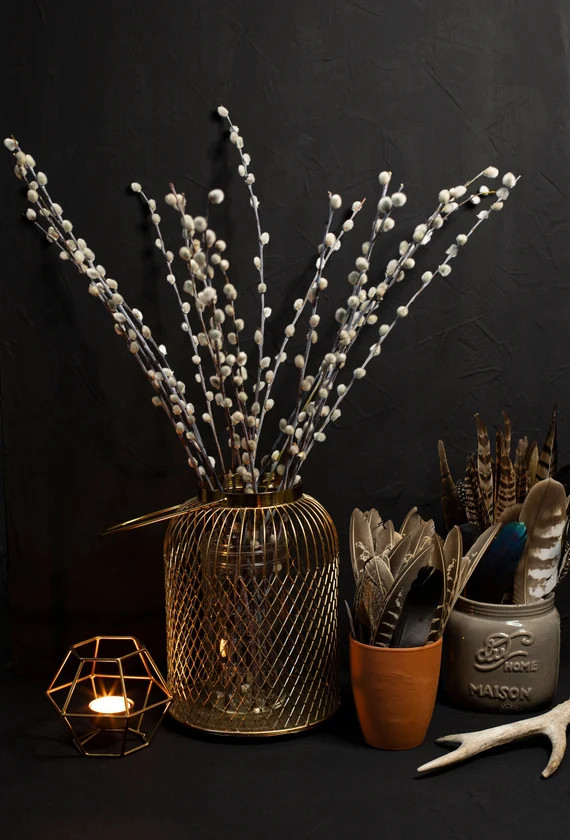 19 Pussywillow branches 198 Twigs Catkins Spring decor | Etsy | Etsy (US)