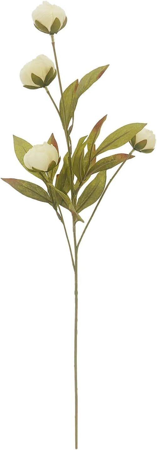 Ashland Cream Peony Stem | Amazon (US)