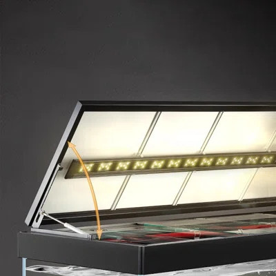 Minimalist Modern Rectangular Eco Aquarium Tank | Wayfair North America