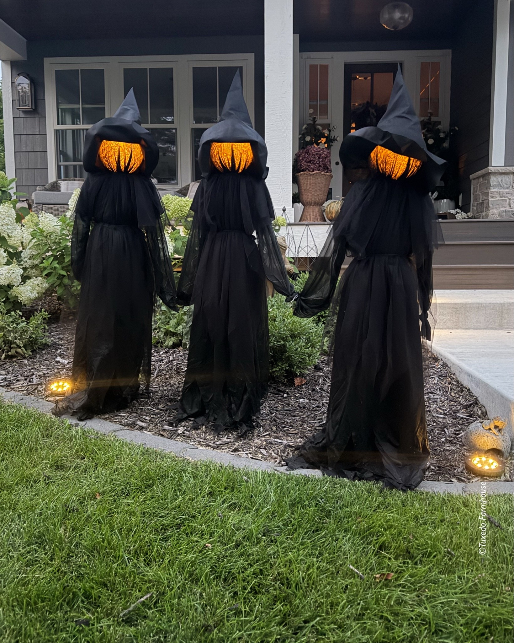 Don’t forget these cute hand holding witches when you start your Halloween decor! How fun are they? And not too spooky for the littles. 

 #LTKSeasonal #LTKHome #LTKSaleAlert