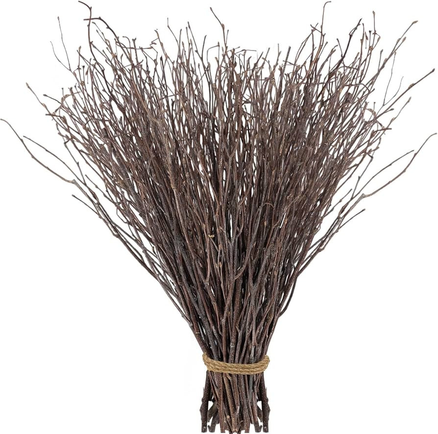 60Pcs Real Dried Birch Twigs Plants Branches - 17” Natural Autumn Decorative Birch Branches for... | Amazon (US)