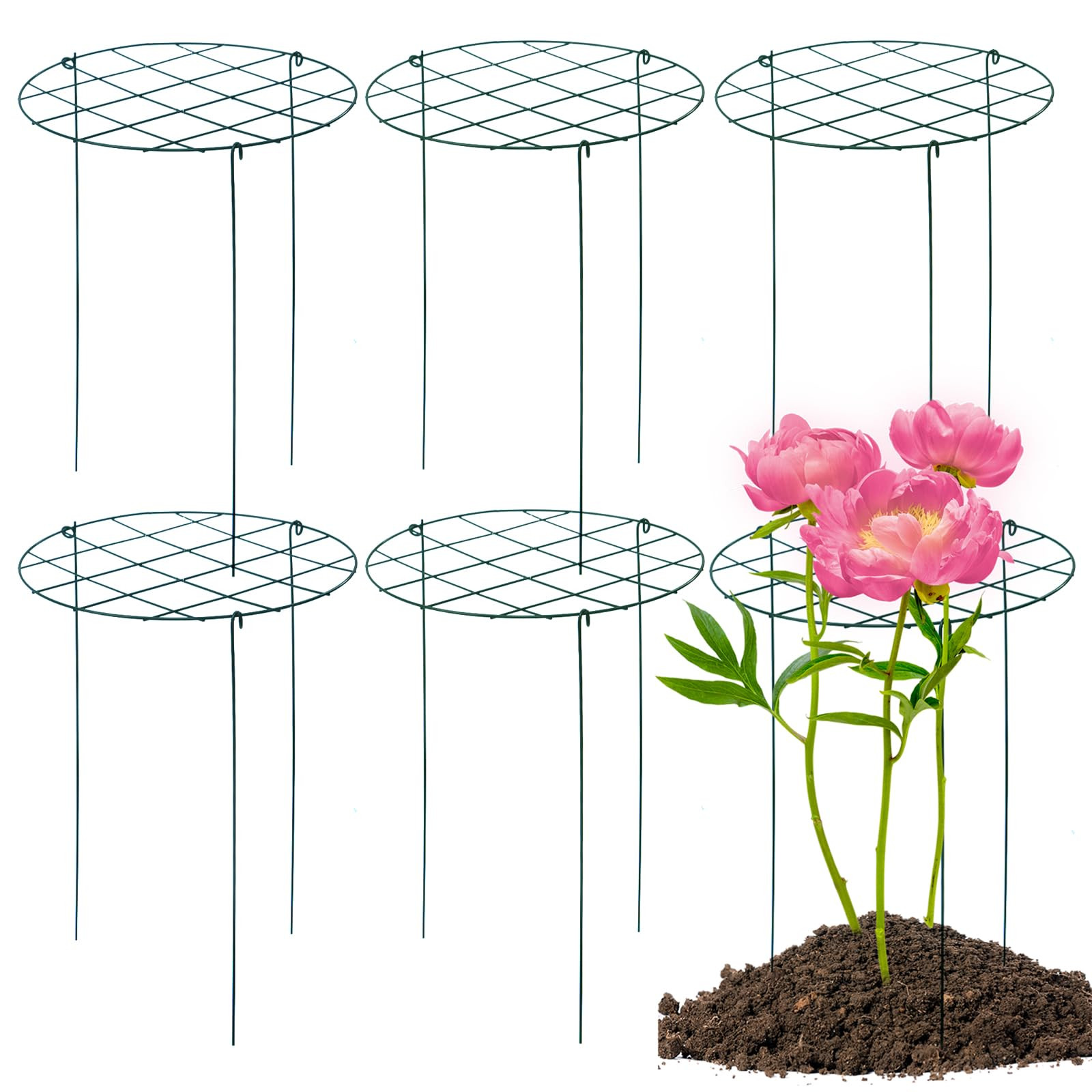 6 Pack Peony Cages and Supports 16 x 24 Inch Grow Through Plant Support Peony Support Ring for Ou... | Amazon (US)