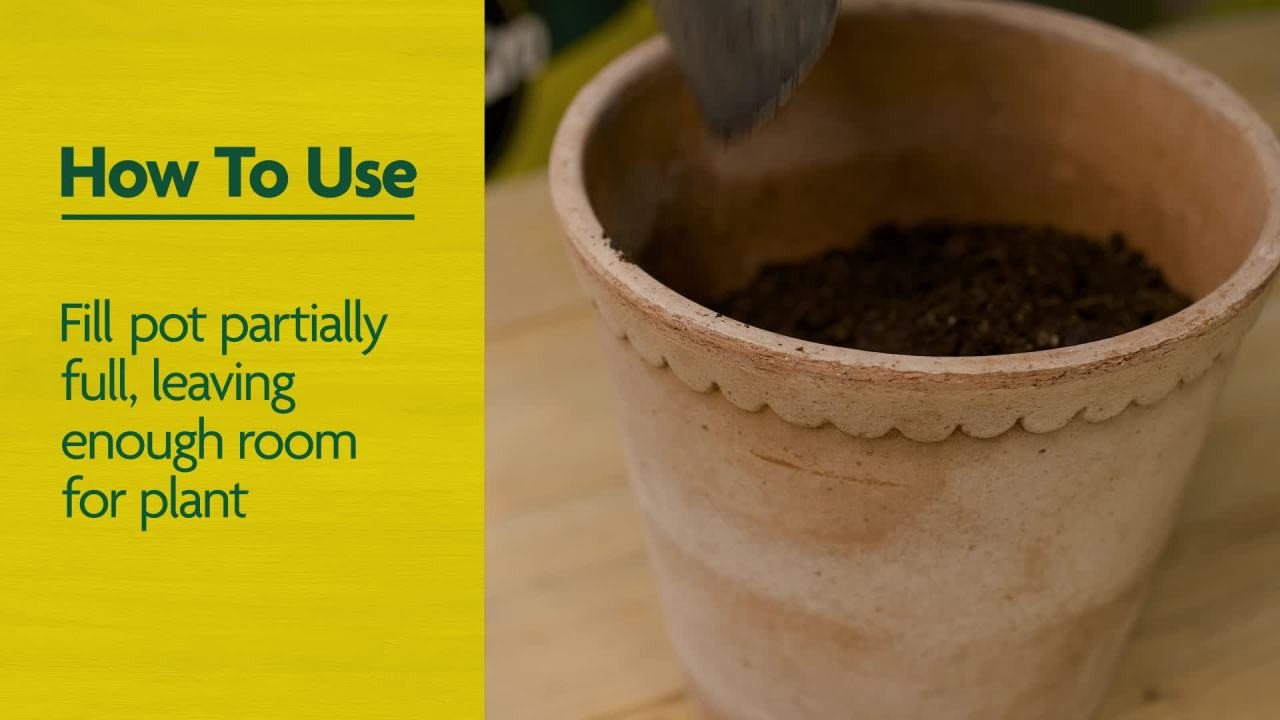 Miracle-Gro Organic Outdoor Potting Mix 25 qt. Soil for Container Plants, Contains Quick-Release ... | Walmart (US)