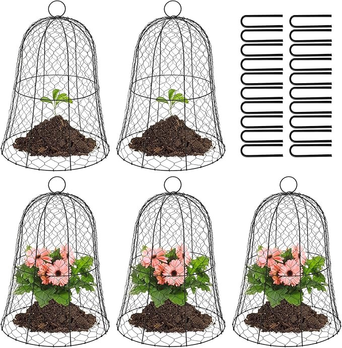 Coloch 5 Pack Garden Chicken Wire Cloche, 16x 13 Inches Black Dome Plant Protector Cover Strong M... | Amazon (CA)