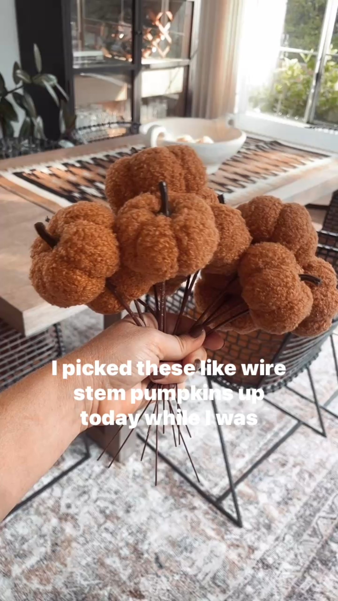 Couldn’t find these exact mini fabric pumpkins but I linked some similar ones I like here! 

These exact ones were purchased at my local Hobby Lobby in Chino Hills. 👍🏻

#floralpumpkin #pumpkinpicks #fauxpumpkin #fabricpumpkins #fall #halloween #home #decor 

#LTKSeasonal #LTKHome #LTKHoliday