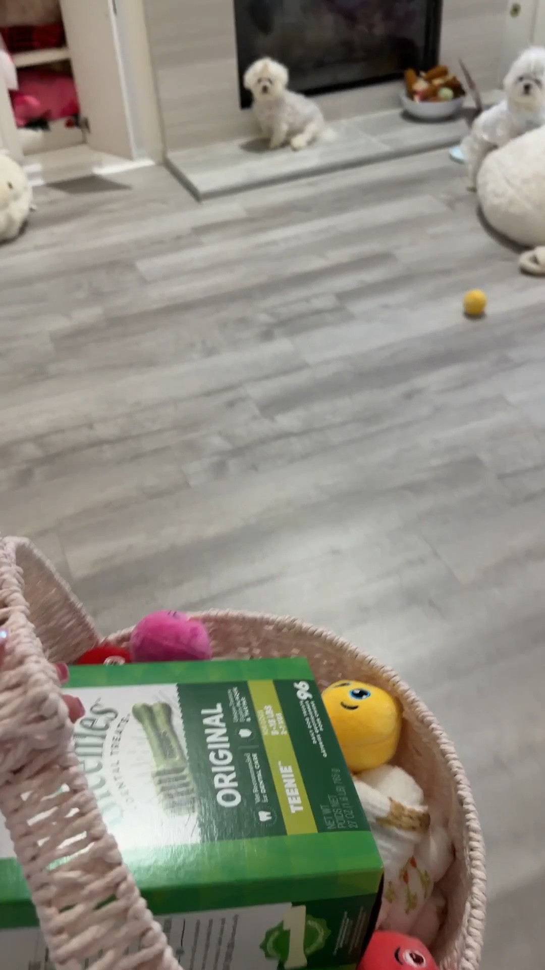 When your dogs get Easter Baskets 🐣💗☀️Happy Easter 

#LTKmomlife #LTKSeasonal #LTKstorytime