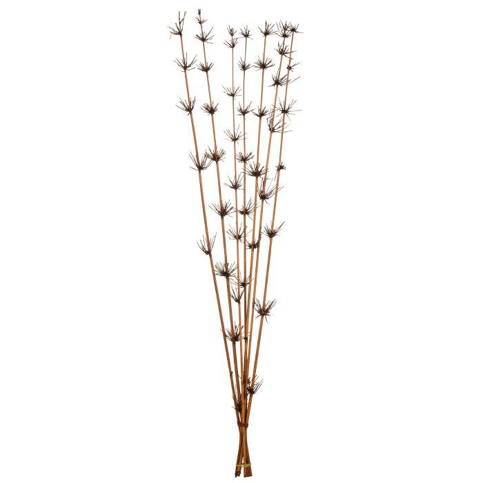 Vickerman Star Bamboo Reed Stem, Dried | Target