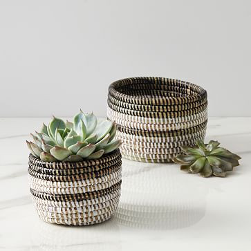Colorblocked Basket Succulent Planters | West Elm (US)