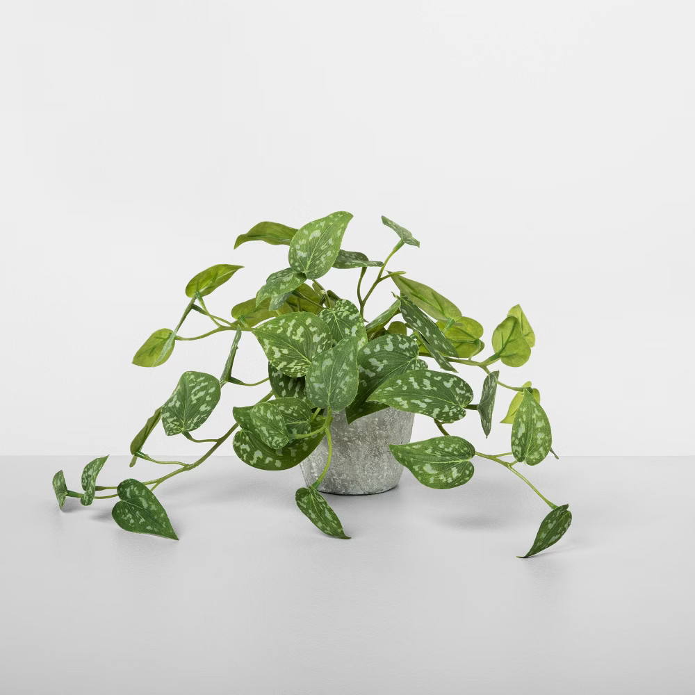 Faux Silver Vine Potted Plant - Hearth & Hand with Magnolia | Target