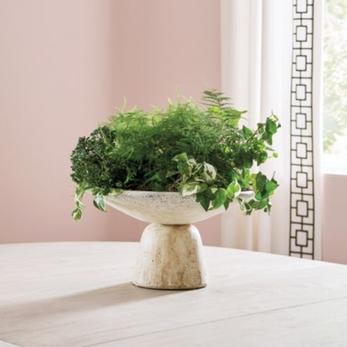 Remi Tabletop Terracotta Planter | Ballard Designs, Inc.