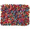 HF by LT Cotton Fiesta Shag Rug, 24" x 36", Multi-Colored | Amazon (US)