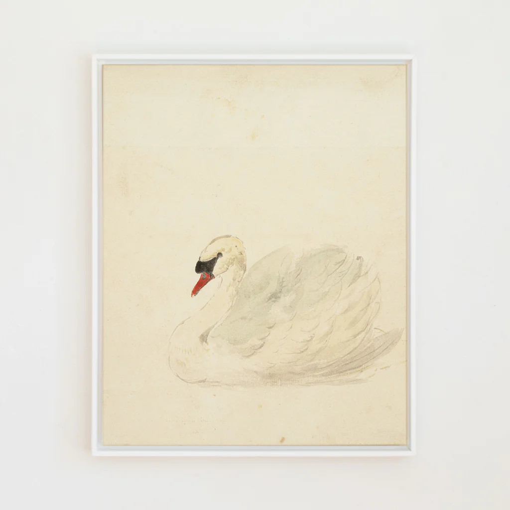 Ivory Swan | Lindsay Letters, LLC