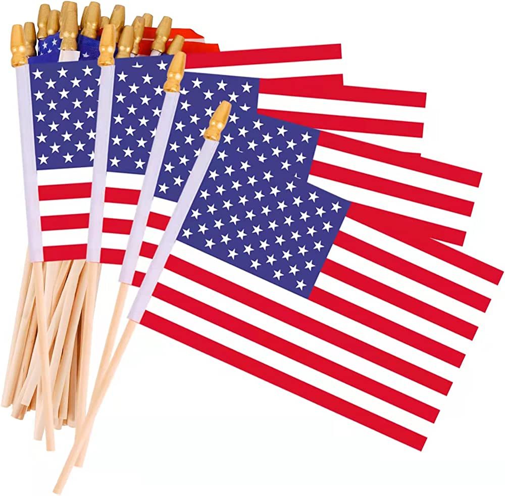 Small American Flags on Stick Handheld Spearhead Mini U.S.A. Flags For Grave Marker,July 4th Deco... | Amazon (US)