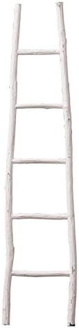 Creative Co-op DA1901 Decorative Painter Wood Blanket Ladder, White | Amazon (US)