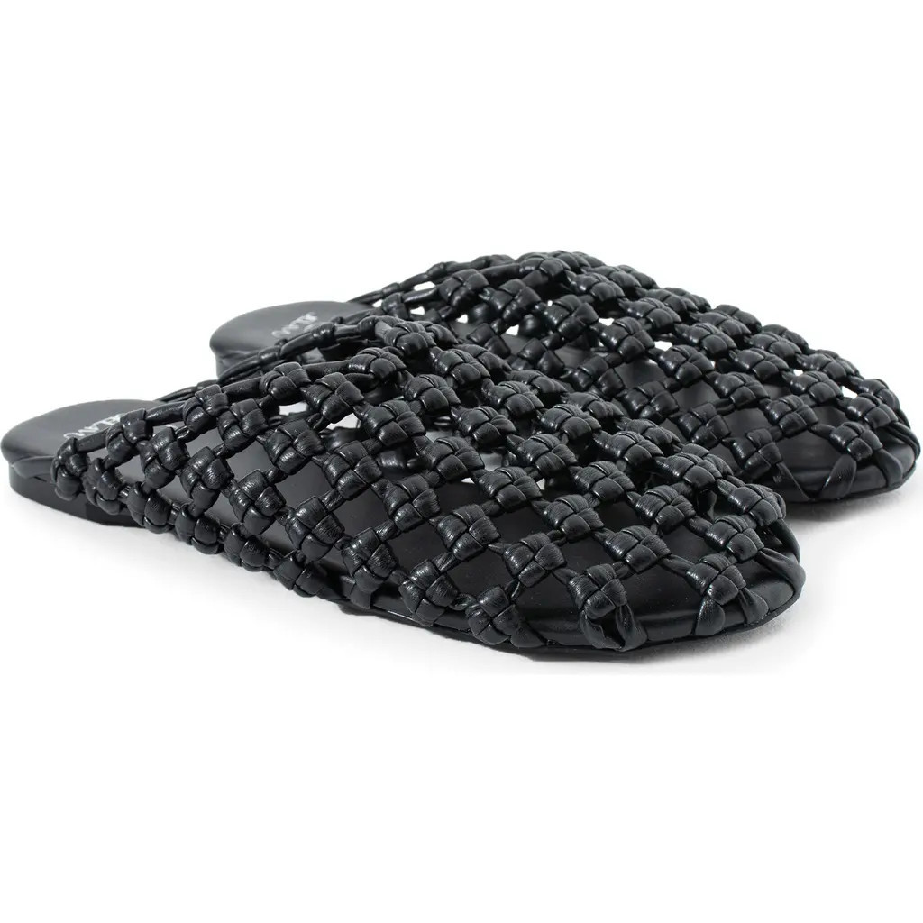 Jelavu Giselle Woven Mule in Black at Nordstrom, Size 9Us | Nordstrom