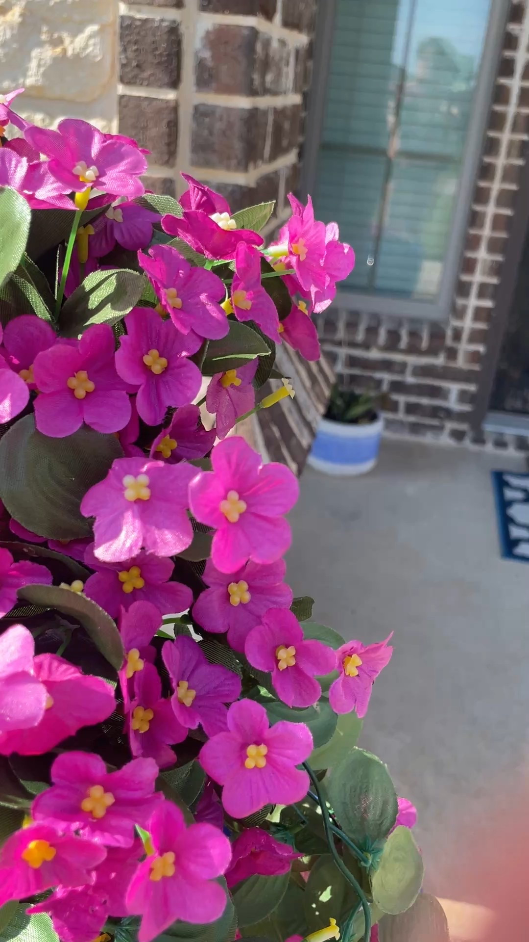 The perfect UV resistant faux flowers. Forget watering … forever. 

#LTKFindsUnder50 #LTKHome #LTKSeasonal