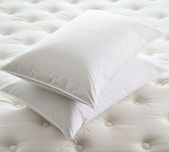 Westin® Feather & Down Pillow | Pottery Barn (US)
