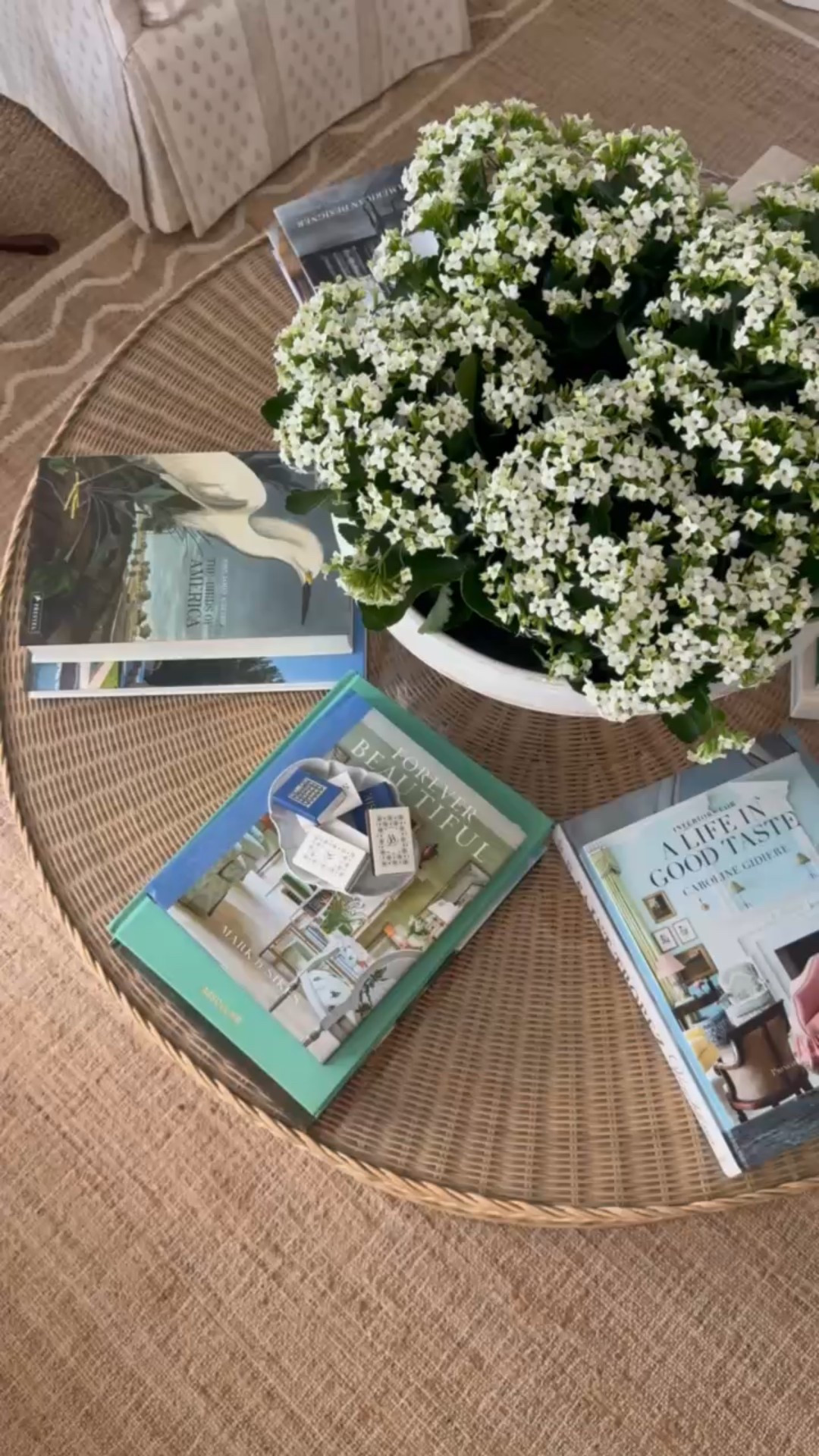 Shop this coffee table look if you love books and pretty displays. Perfect for that cottage feel!

#LTKSeasonal #LTKStyleTip #LTKHome