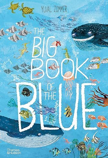 The Big Book of the Blue (The Big Book Series)     Hardcover – Picture Book, June 5, 2018 | Amazon (US)