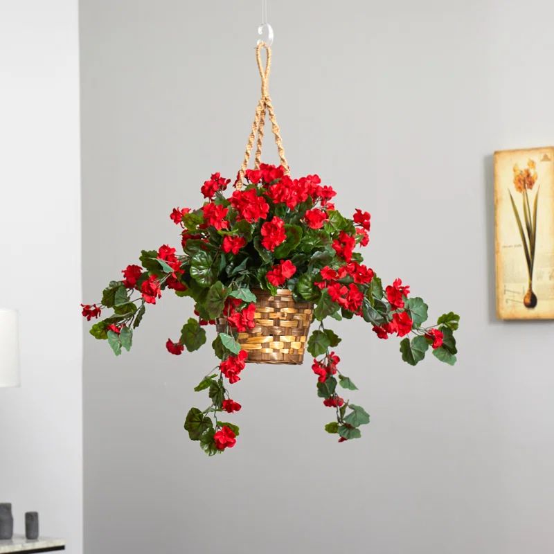 Geranium Hanging Basket UV Resistant (Indoor/Outdoor) | Wayfair North America