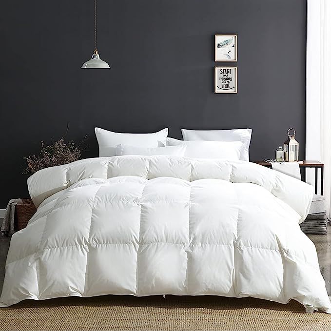 APSMILE King Size Luxury 100% Organic Cotton All Season Goose Feathers Down Comforter 750 Fill Po... | Amazon (US)