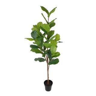 7ft. Potted Fiddle-Leaf Fig Tree by Ashland® | Michaels Stores