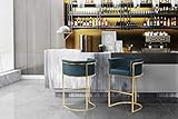 Iconic Home Finley Bar Stool Chair Velvet Upholstered Rolled Shelter Arm Design Half-Moon Goldtone S | Amazon (US)