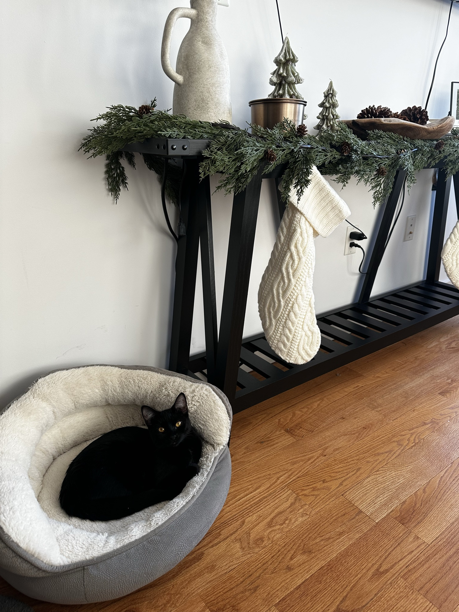 My purfect girl in her favorite bed 🐈‍⬛🤍 linking similar finds on Amazon! 

#LTKHoliday #LTKCyberWeek #LTKGiftGuide