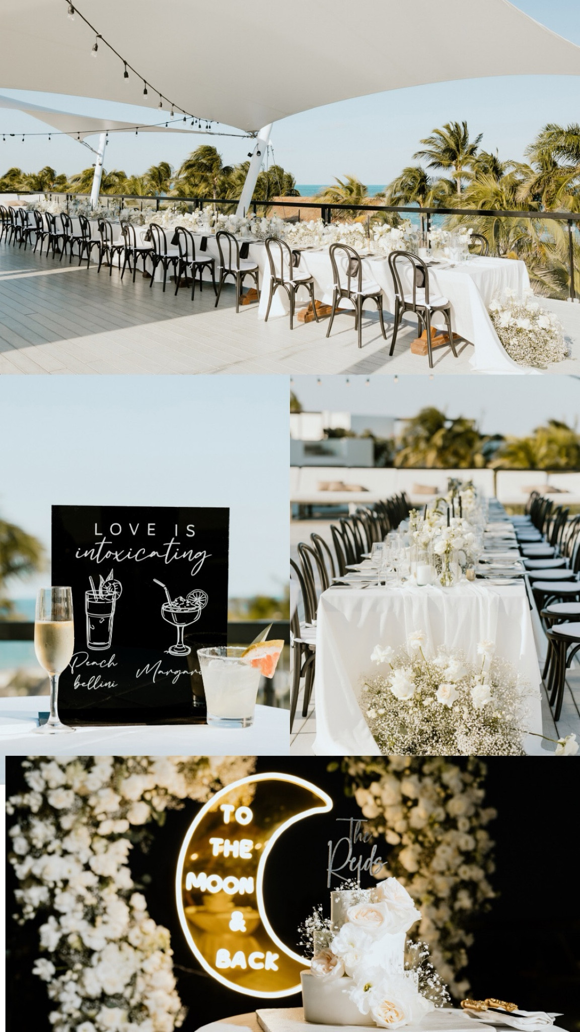 Our Mexico destination wedding finds for decor and guest wedding favours!


#LTKFindsUnder100 #LTKWedding #LTKFindsUnder50