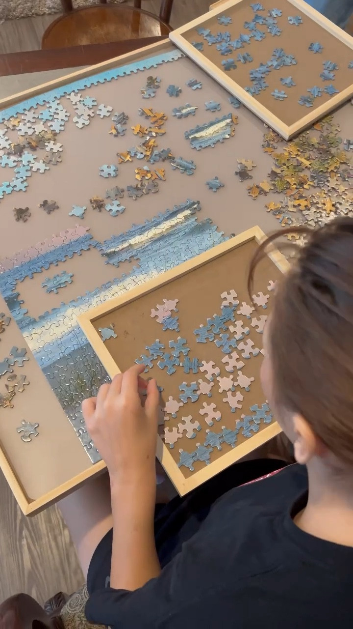 The best jig saw puzzle table or board you’ve ever seen.  This makes a great gift!  In fact, I sent this one to my mom.  It has four drawers to sort your puzzle pieces in and it sits on a lazy Susan so you can turn it and work your puzzle from different angles.  This puzzle Board also comes with a mat that you can use to cover your puzzle if you need to store it away before you are finished.  I highly recommend this puzzle board for anyone that loves puzzles.  

#LTKfamily #LTKhome #LTKunder100