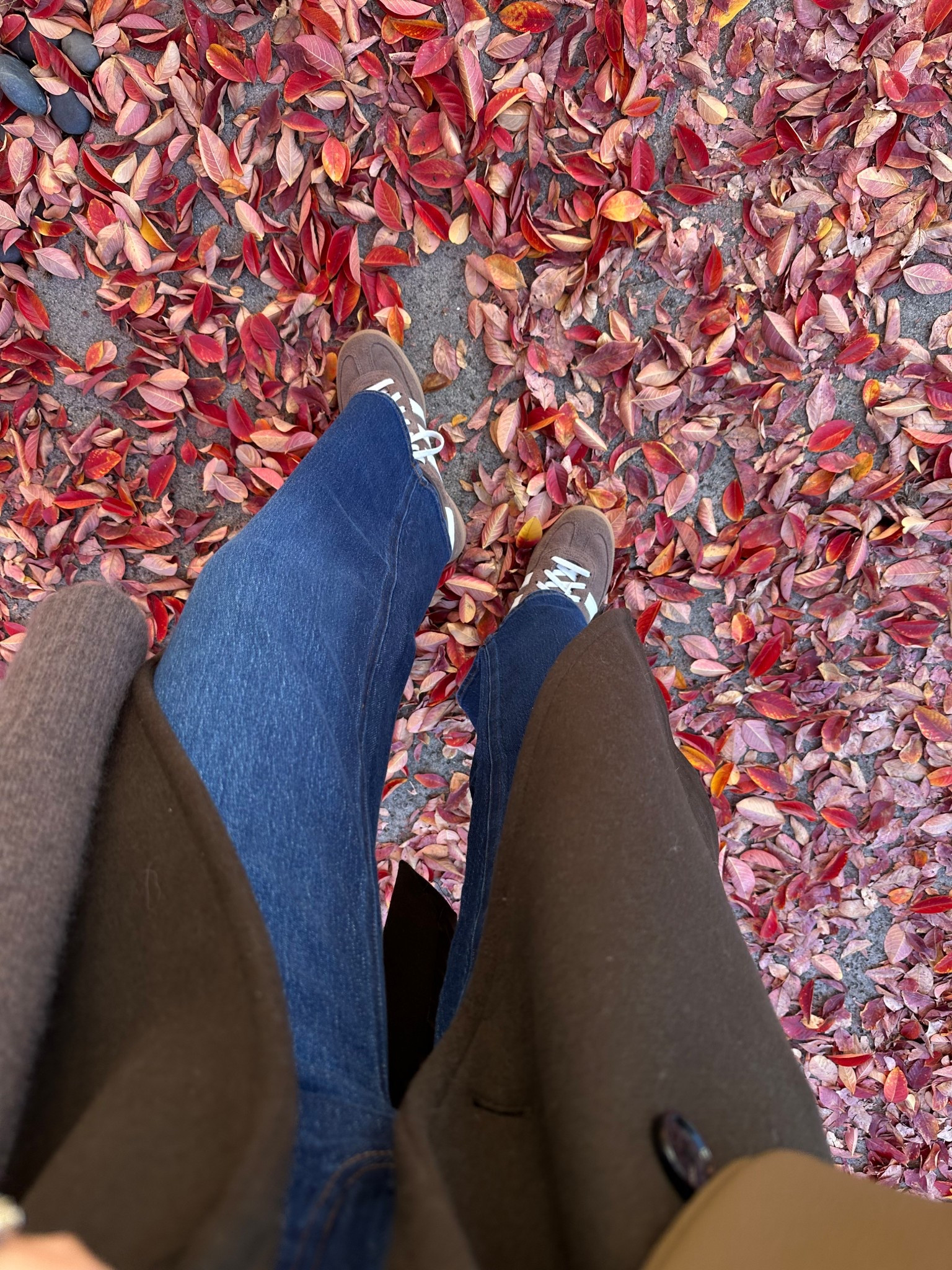 Comfy, everyday sneakers with arch support 

Adidas handball spezial sneakers — tts, come in tons if colors, recently found some colors available at Nordstrom rack for as low as $40
Quince Bella relaxed jeans 
Mango tailored coat — was just restocked + comes in a new color! 

#LTKootd