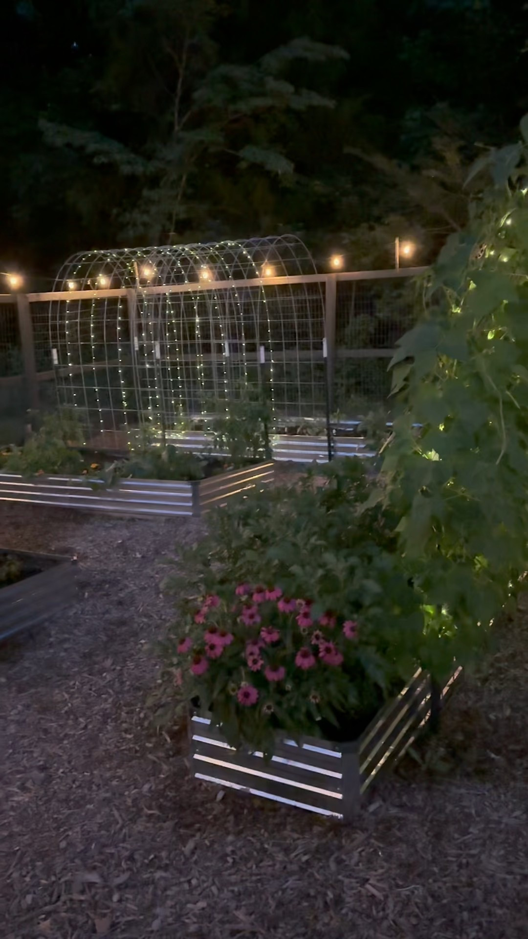 Here are the beans I grow on my trellis!  Plus other supplies in my garden  

#LTKSeasonal