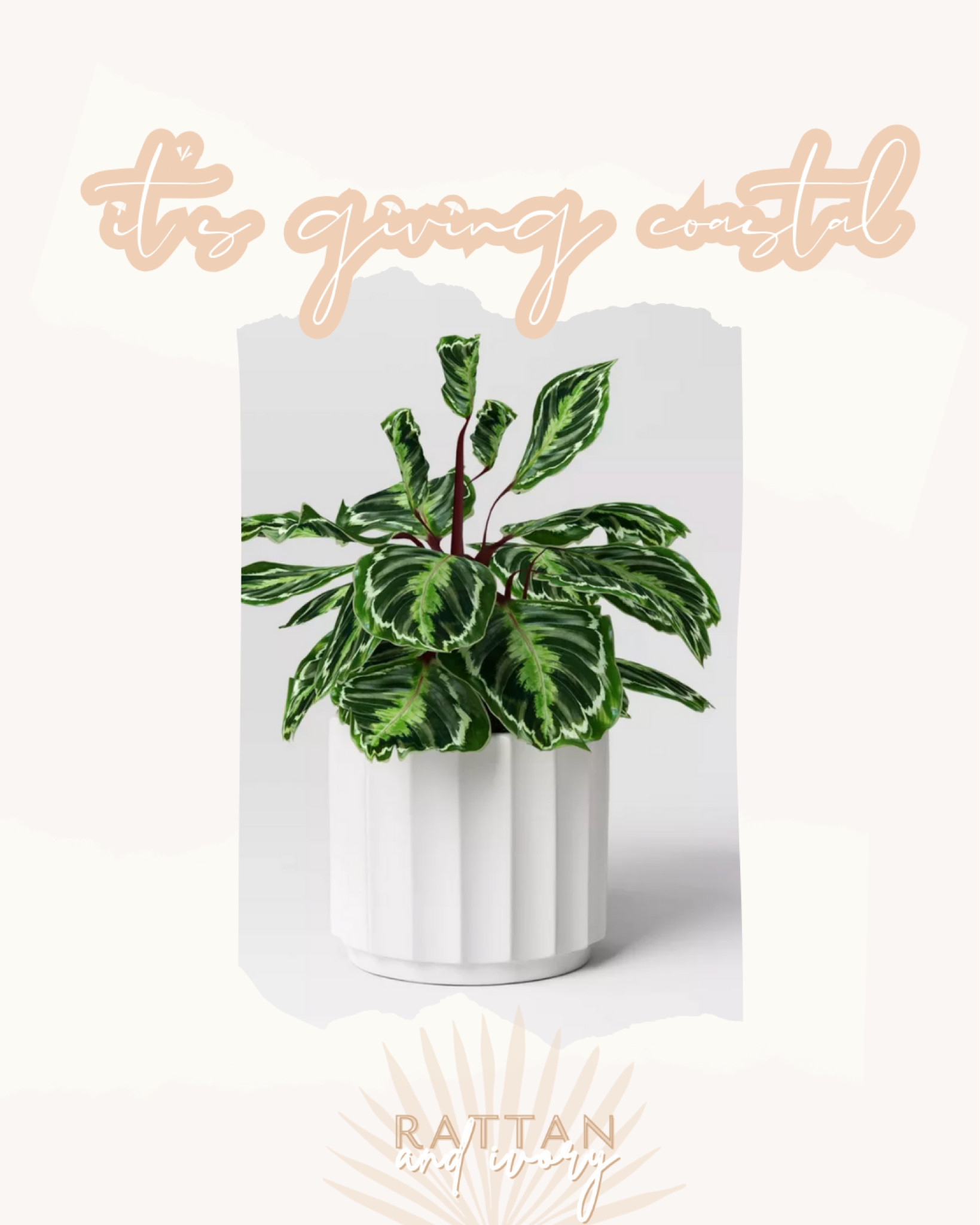 This geared planter was a fan favorite at Target about two years ago until it completely sold out.  They have brought it back in white, terracotta and black.  I have two of these on my front porch and love them!!  Multiple sizes to choose from!  Coastal home, target home, outdoor planter 

#LTKhome #LTKstyletip