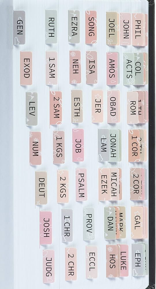 DiverseBee Laminated Bible Tabs (Large Print, Easy to Apply), Bible Tabs Old and New Testament, B... | Amazon (US)