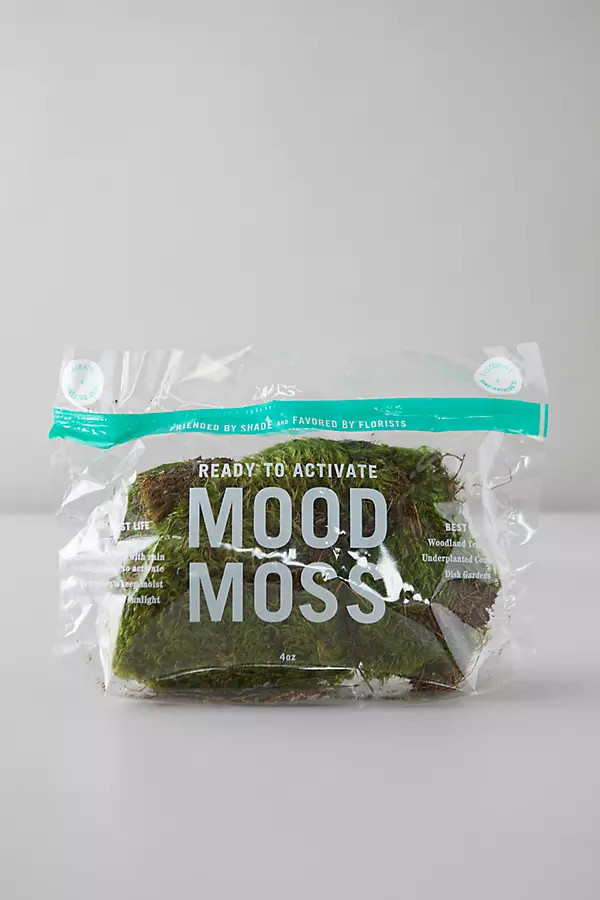Preserved Mood Moss | Anthropologie (US)