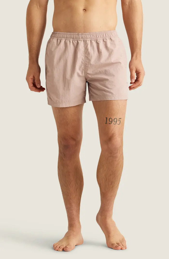 Sebastian Solid 4-Inch Nylon Swim Trunks | Nordstrom