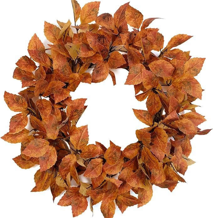 18” Fall Wreath Eucalyptus Leaves for Front Door，Farmhouse Wreath for Indoor and Outdoor Deco... | Amazon (US)