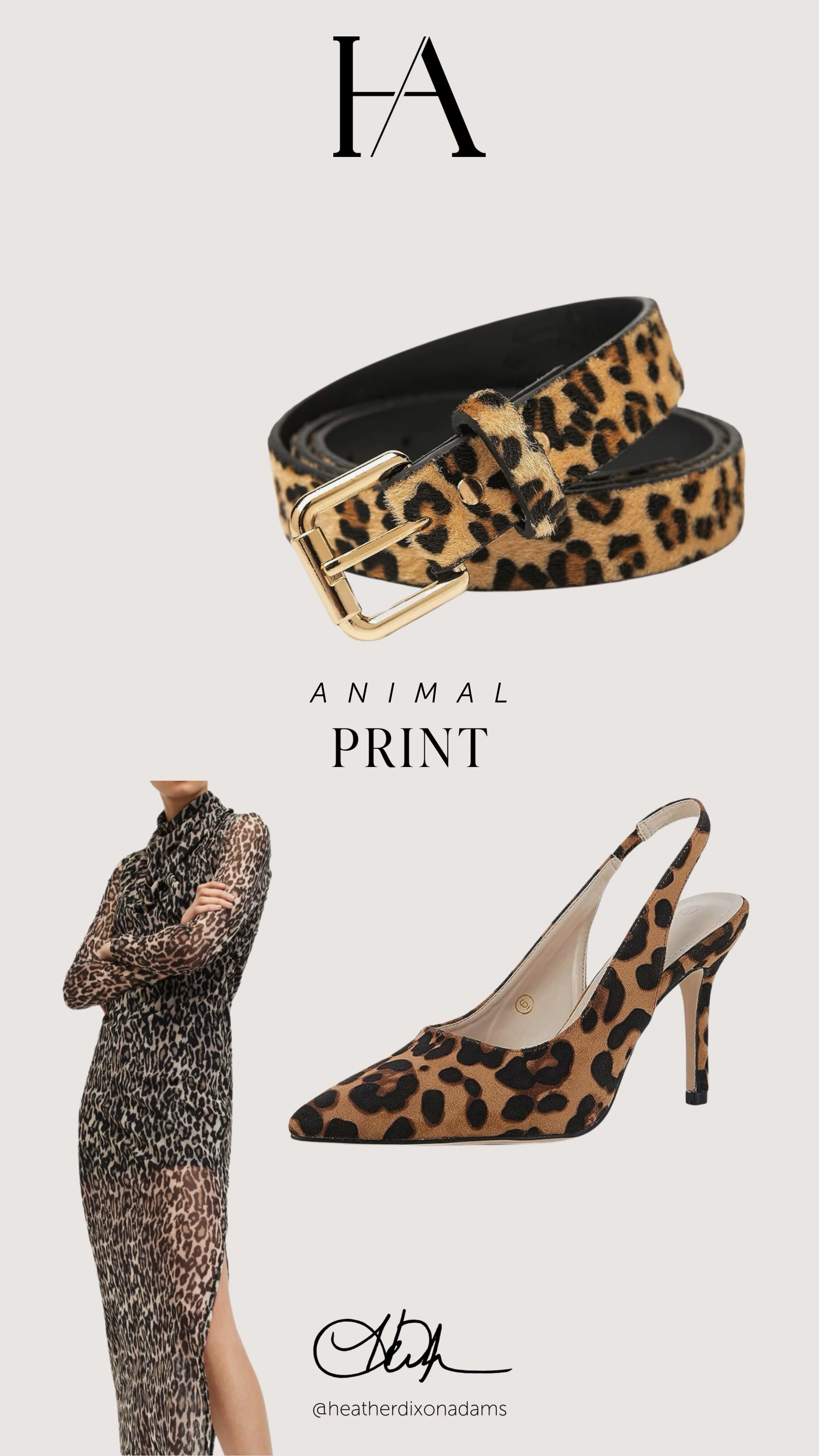 This falls favorite animal print guide.

#LTKStyleTip #LTKOver40 #LTKSeasonal