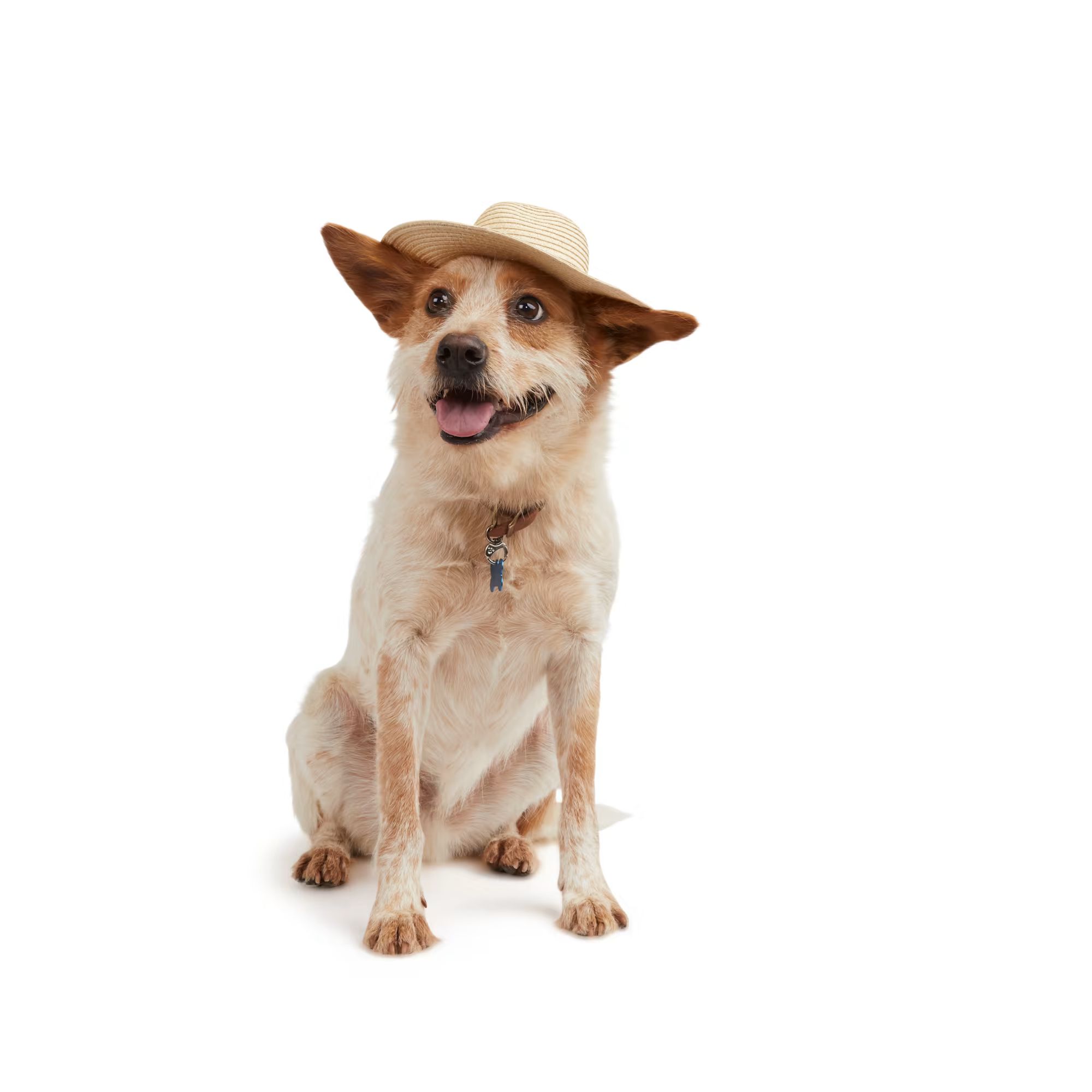 YOULY The Happy-Go-Lucky Dog Straw Hat, X-Small/Small | Petco