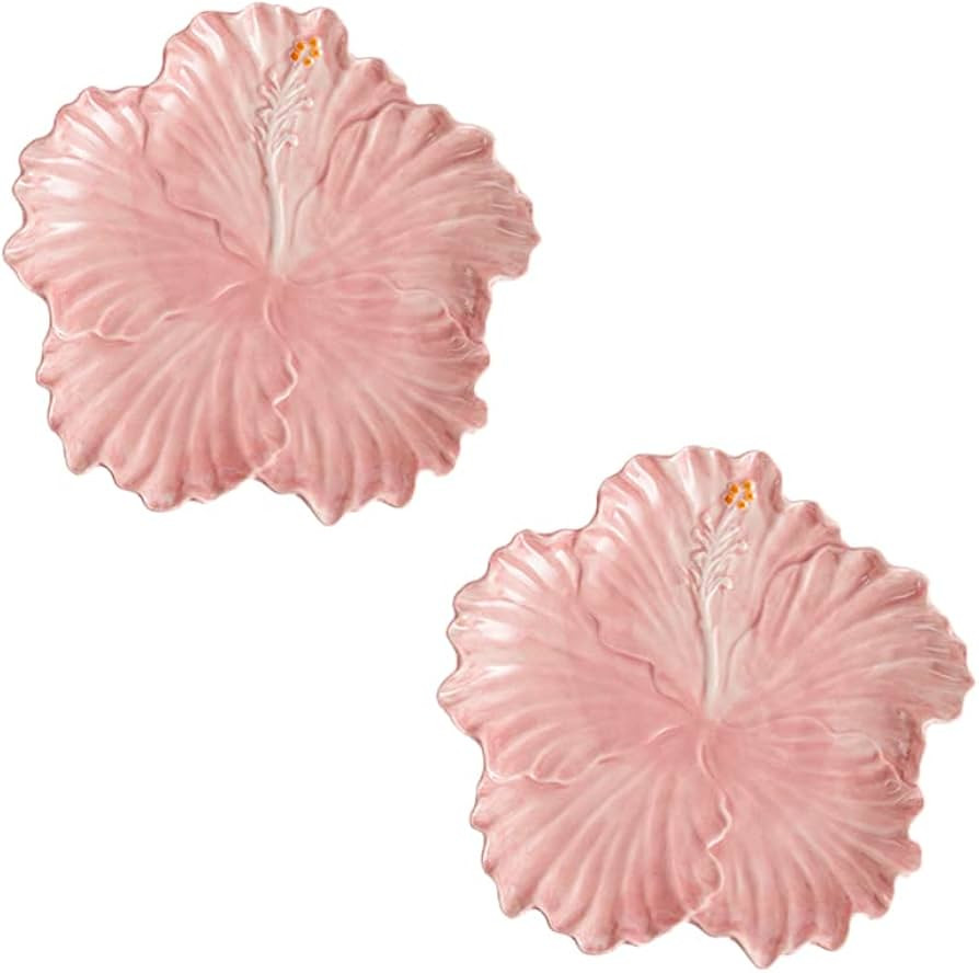 Modern Flower Pattern Dinner Plates Set of 2 with Hibiscus Design for Salad,Dessert,Steak, Cute S... | Amazon (US)