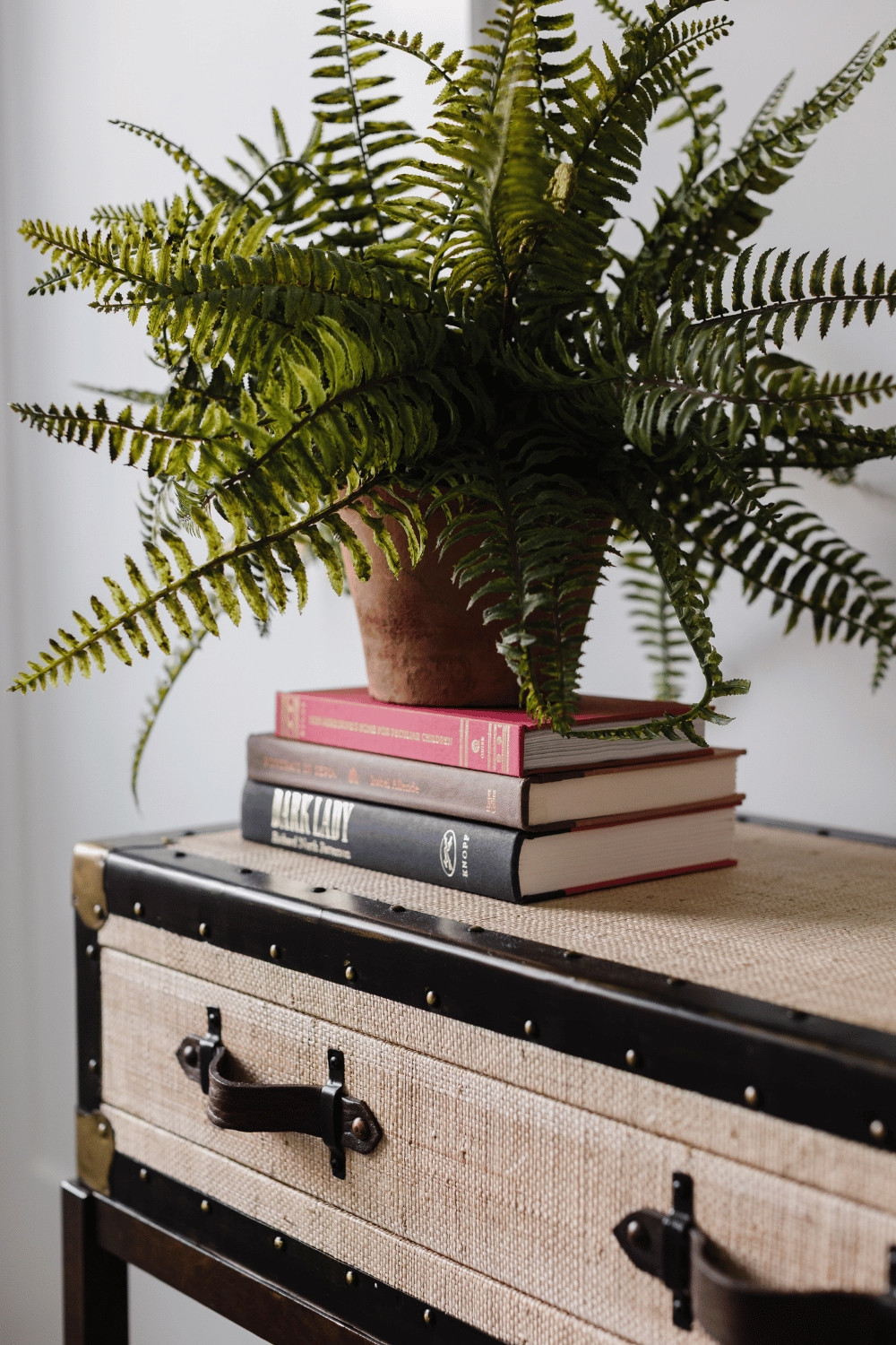 This may be my favorite piece I have ever ordered from Pottery Barn.  It's just so fun and unique!

This makes a good console table, tv stand, or sofa table.  It has really cool brass detail and a woven finish, so you might want to cut a piece of glass to protect the top if it goes in a high use area.

The fern looks SUPER realistic too if you're looking for a high quality faux houseplant- and it comes in the cutest terra cotta pot.

#console #vintage #potterybarn  

 #LTKHome