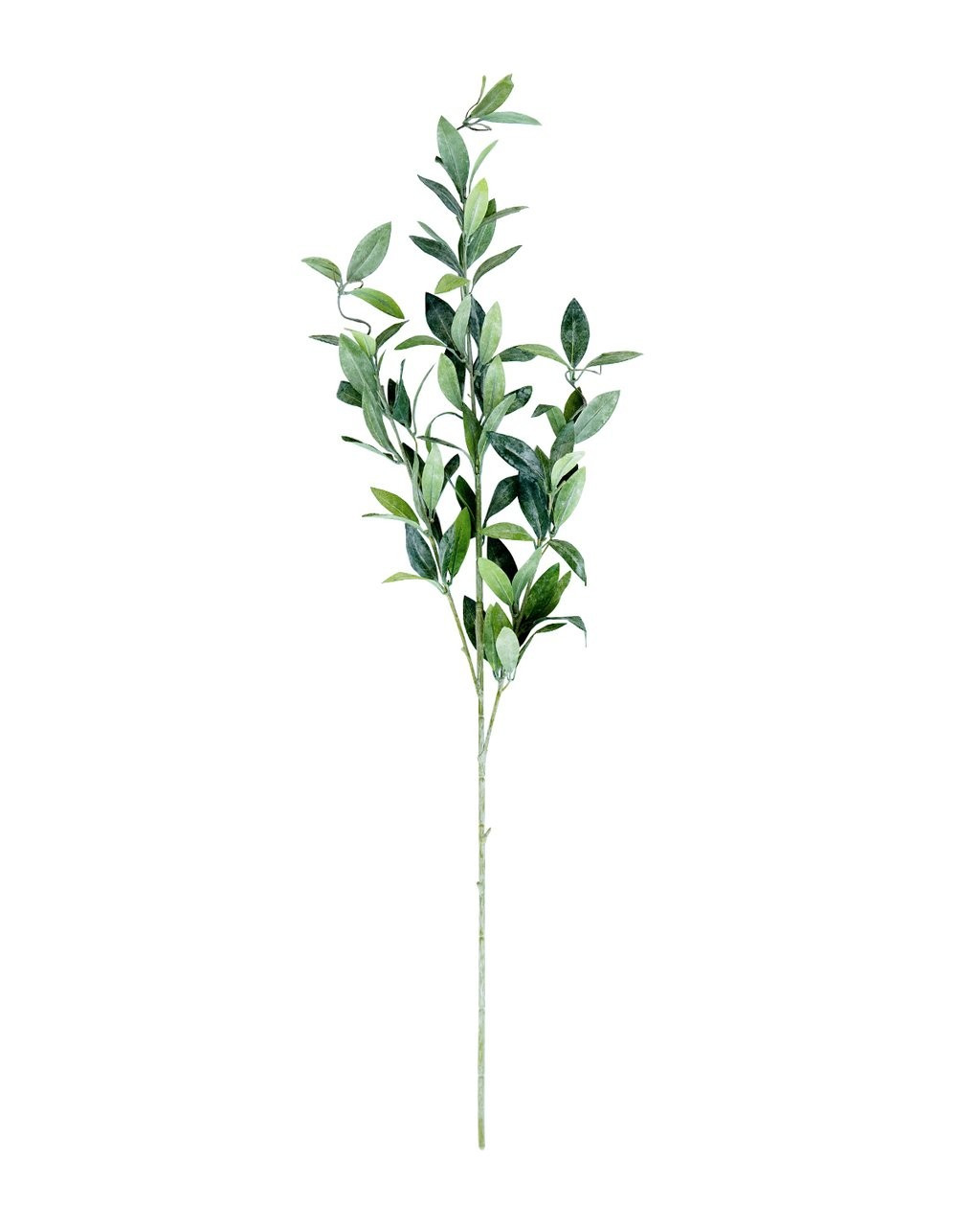 Faux Dusty Laurel Stem | McGee & Co.