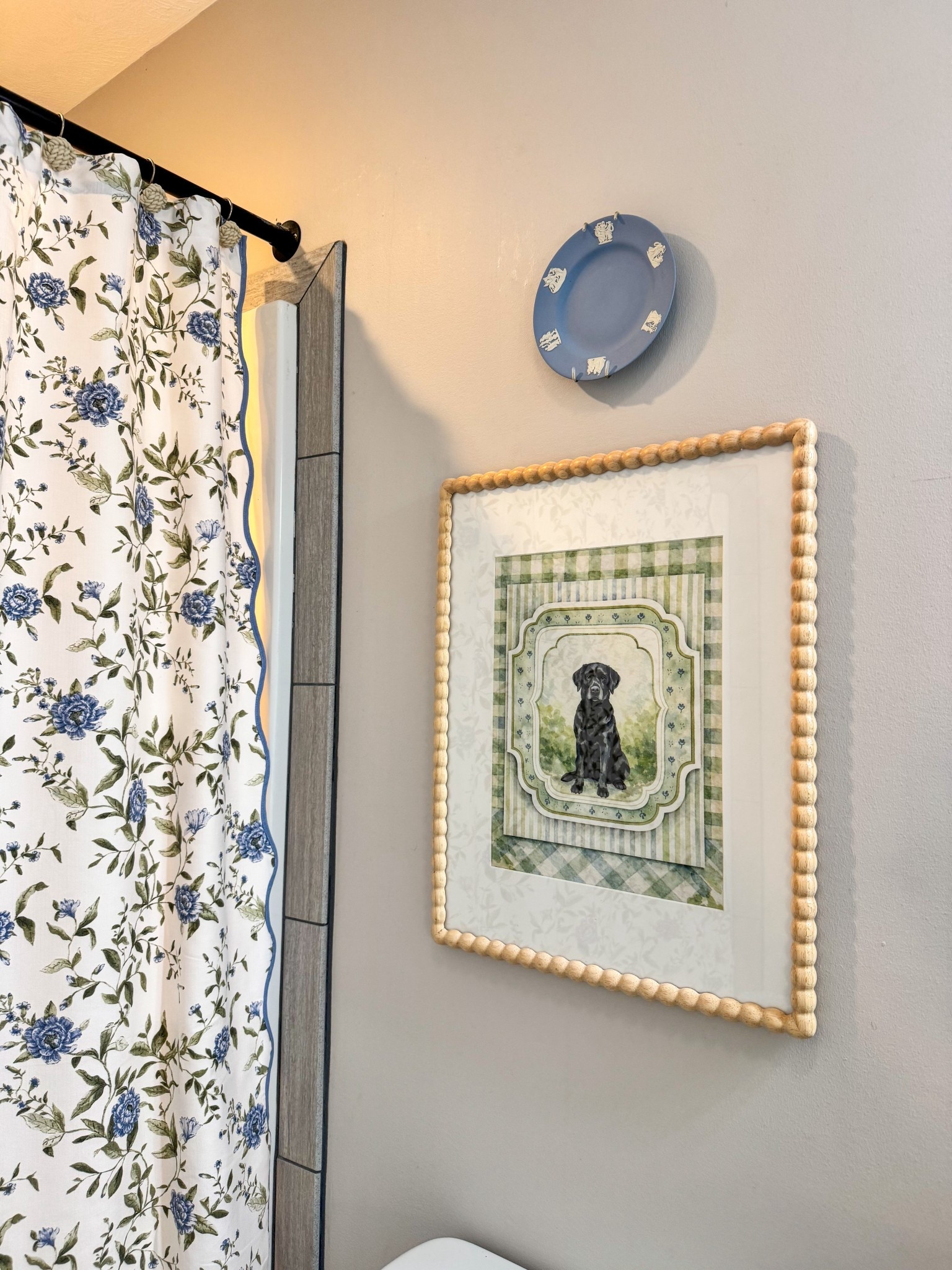 Shower curtain is TJ MAXX & plate is vintage wedgewood! 

#LTKdayinmylife #LTKFestival #LTKSpringSale