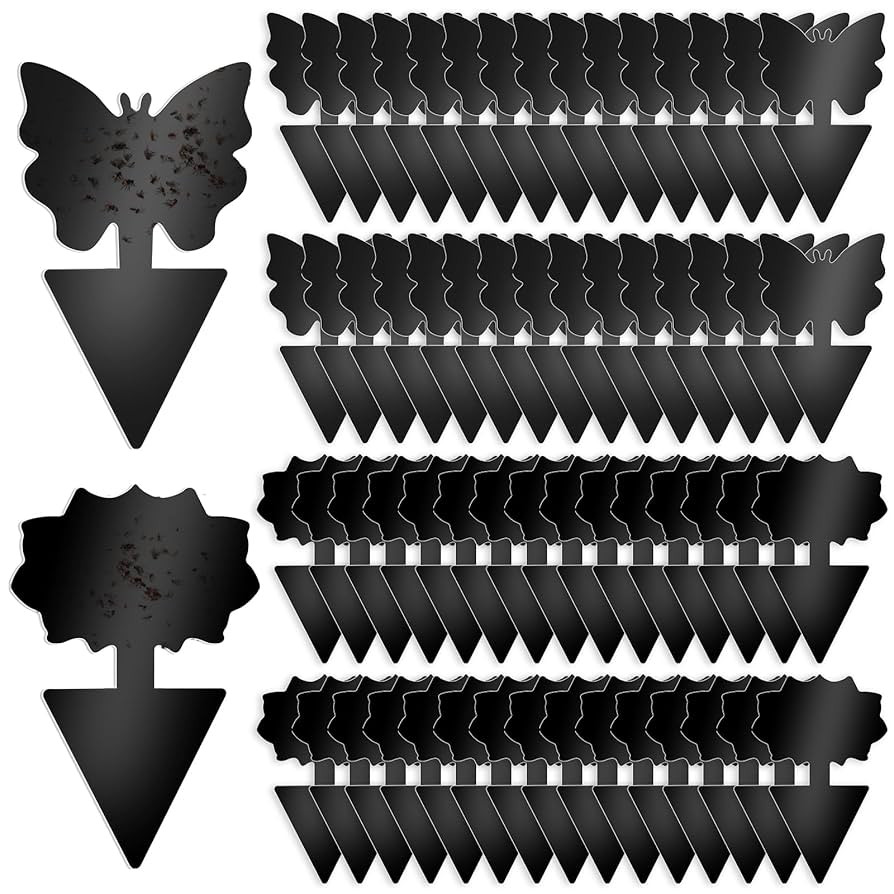 Fruit Fly Traps, 60 Pack Black Sticky Traps, Fungus Gnat Traps, Plant Fly Stickers for Indoor and... | Amazon (US)