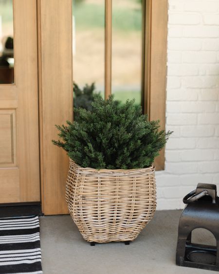 Love our new faux cedar bushes! Linked a dupe of my woven planter too! 

Faux plant, front porch, pot, look for less, lantern, front door, wreath 

#LTKhome #LTKFind #LTKSeasonal