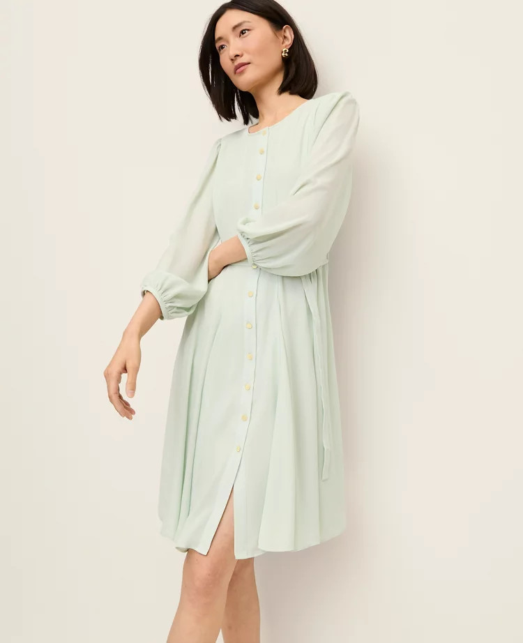Belted Flare Dress | Ann Taylor