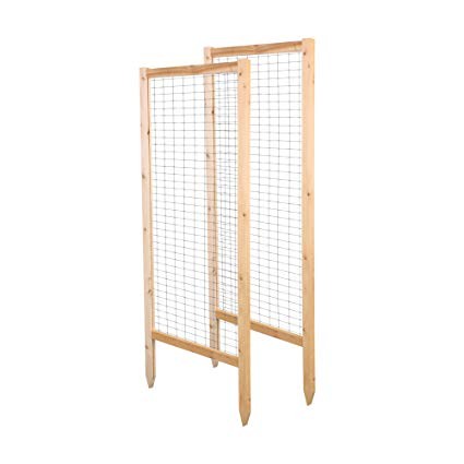 Greenes Fence 2' L Critter Guard Cedar Garden Trellis (2 Pack), 47.75" | Amazon (US)